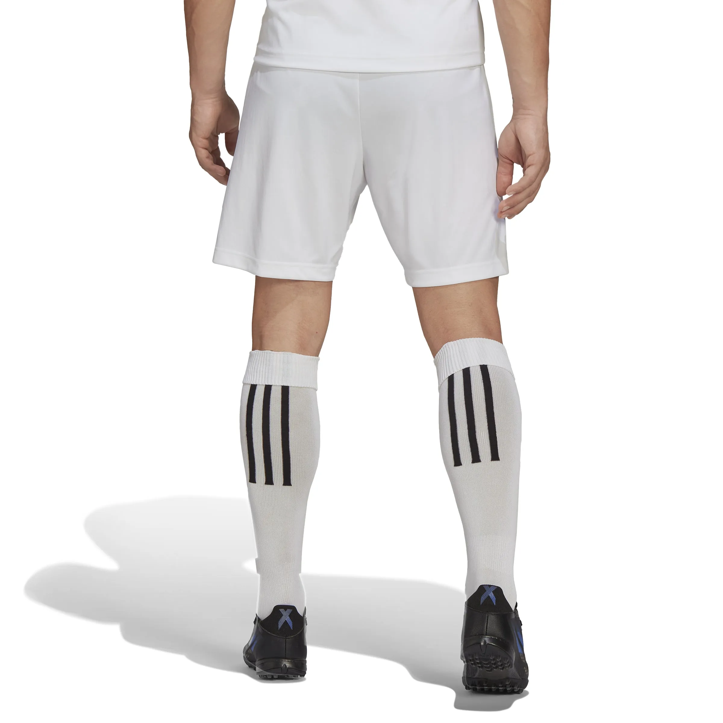 Adidas Entrada 22 Shorts (HG6295)