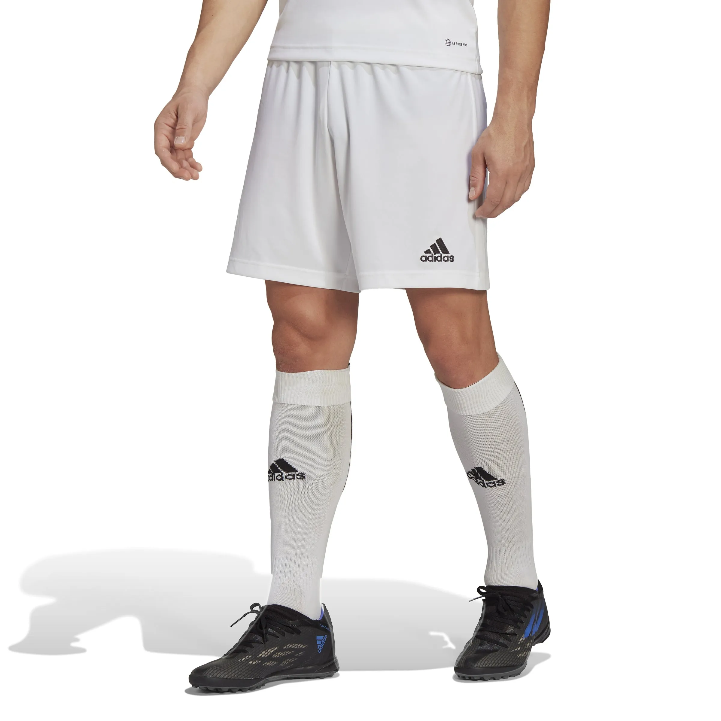Adidas Entrada 22 Shorts (HG6295)