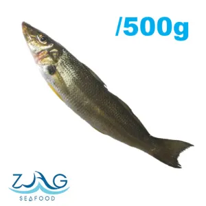 Australian Sand Whiting (Whole)