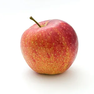 Fuji Apple