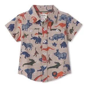 Hatley Dinosaur Shirt