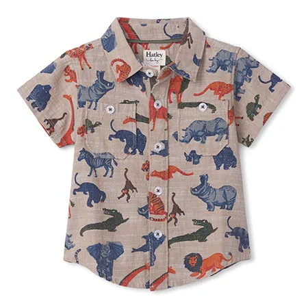 Hatley Dinosaur Shirt