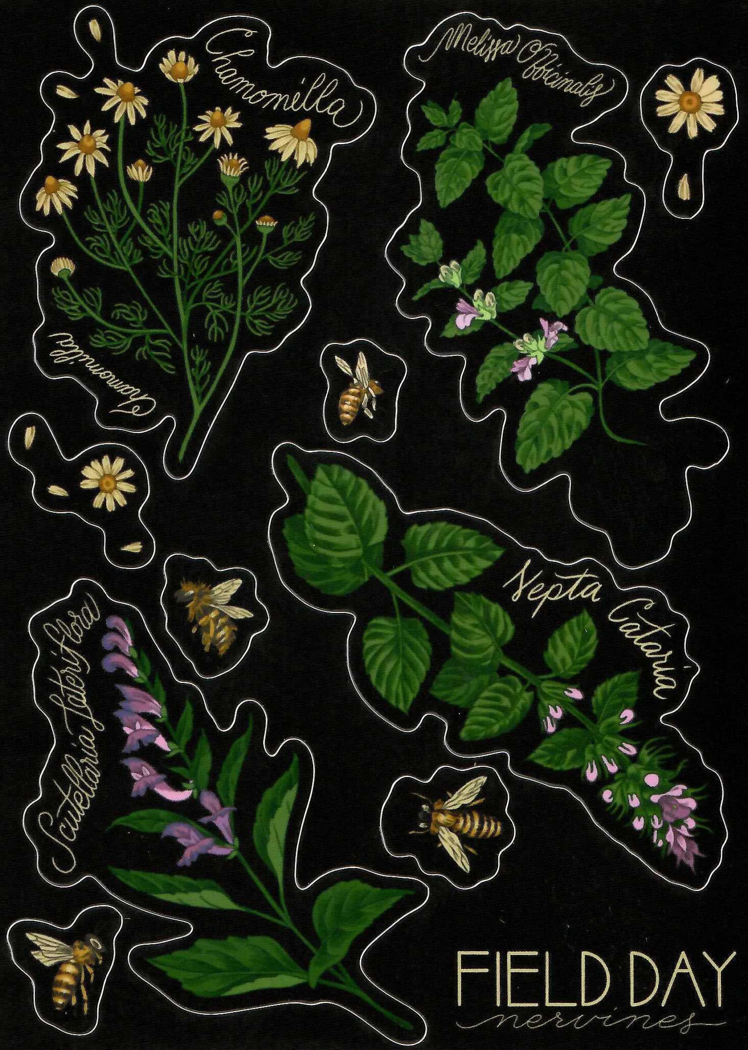 Nervine Stickers