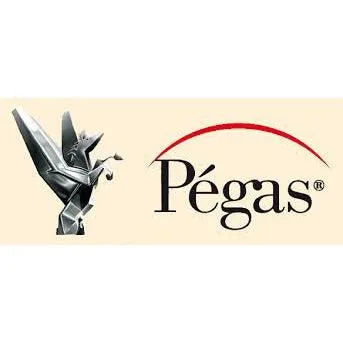 Pegas Skip Reverse Scroll Saw Pack of 12 شفرات سكرول سو (منشار خطاط) سويسريه 12 حبه