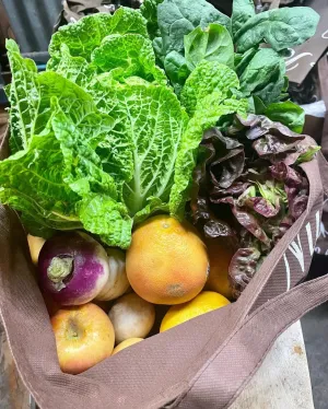 Small Fresh Harvest Basket