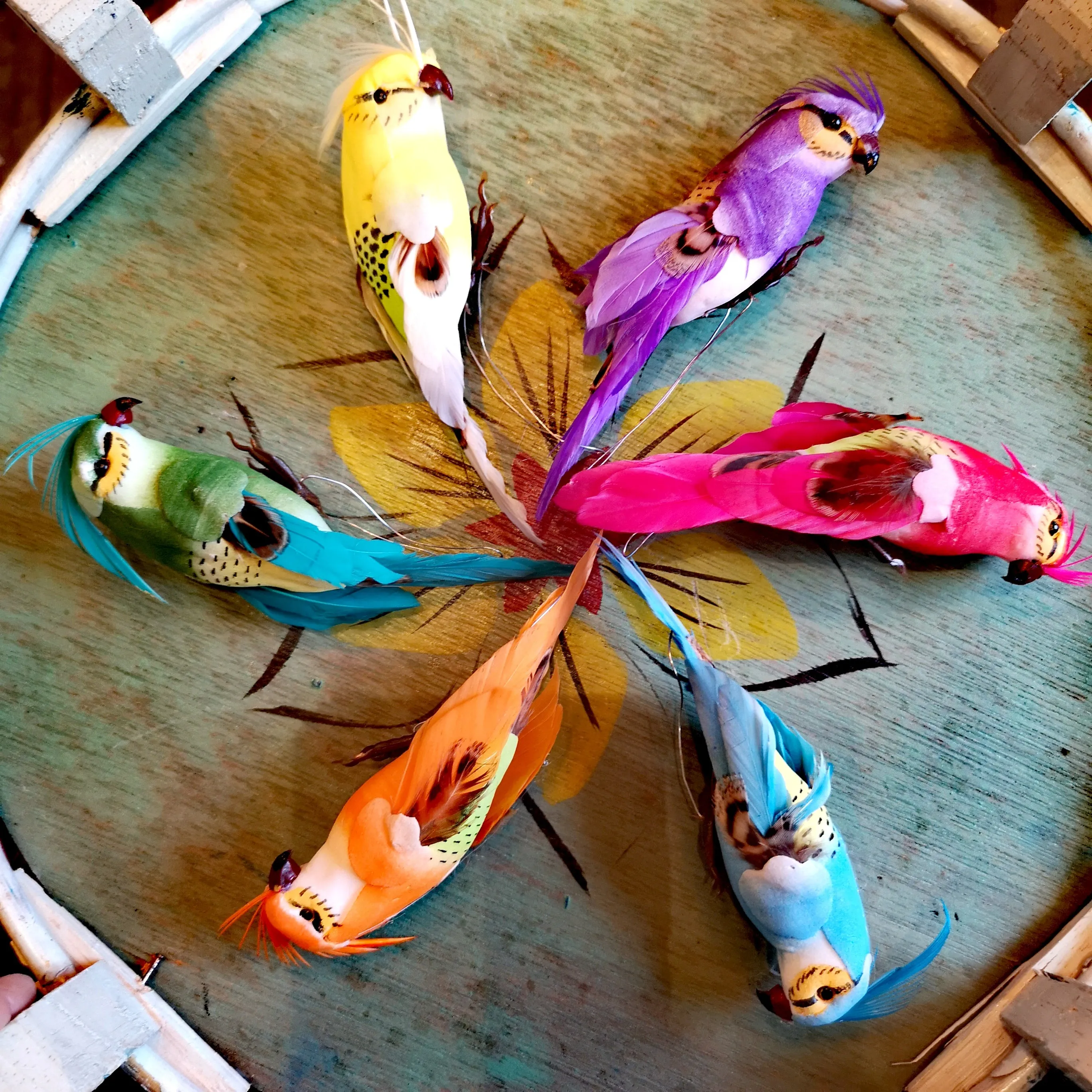 Tropical bird set