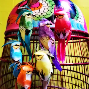 Tropical bird set